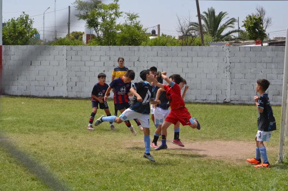 WhatsApp Image 2024-11-17 at 13.10.00