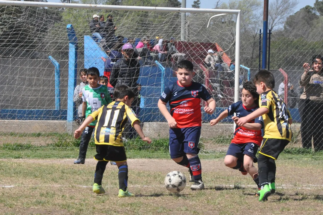 Centro Social Deportivo Municipal Acción Juvenil Socialeritas (133)