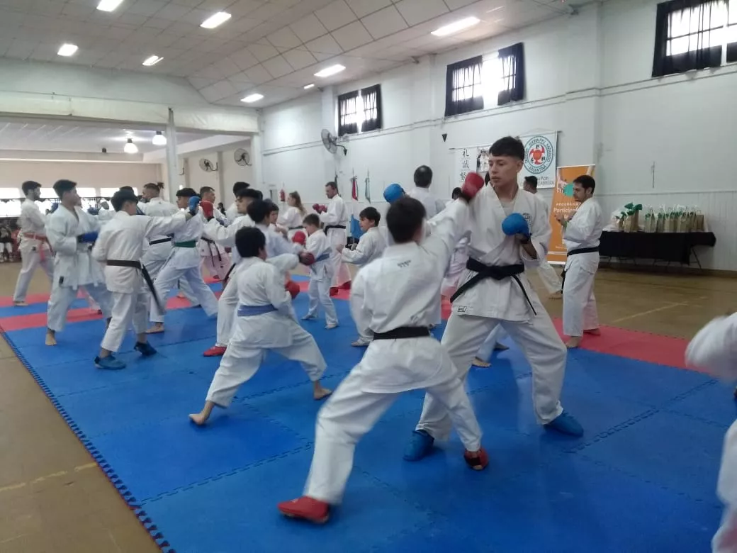 karate (4)