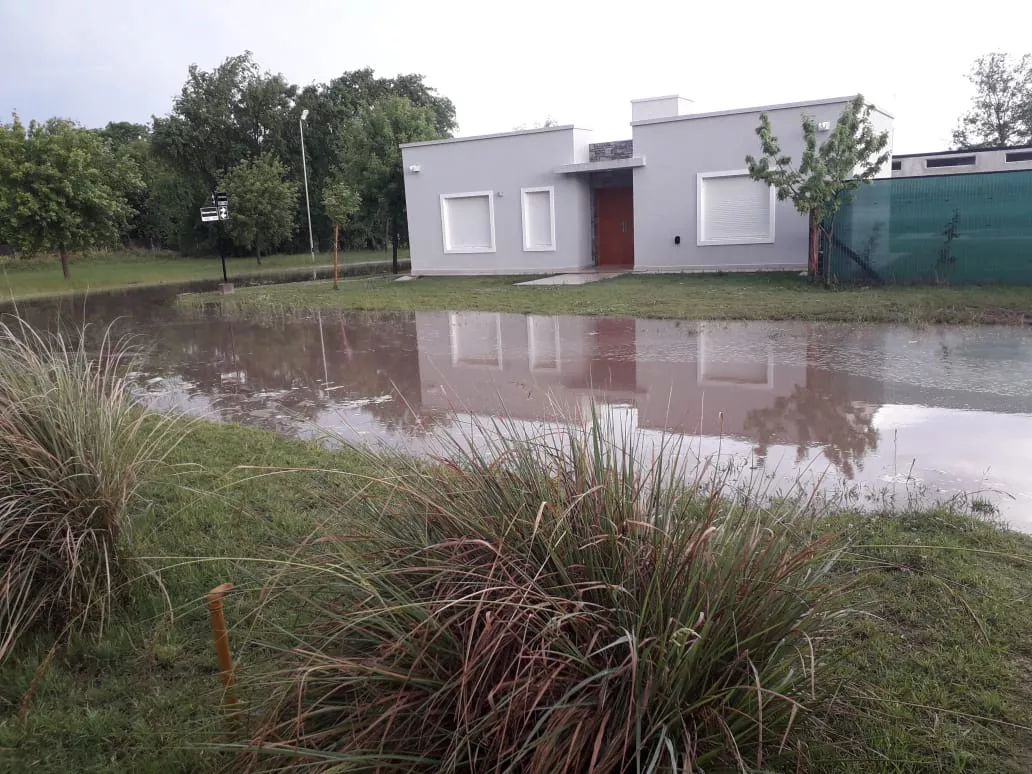 WhatsApp Image 2022-06-21 at 11.41.47 PM