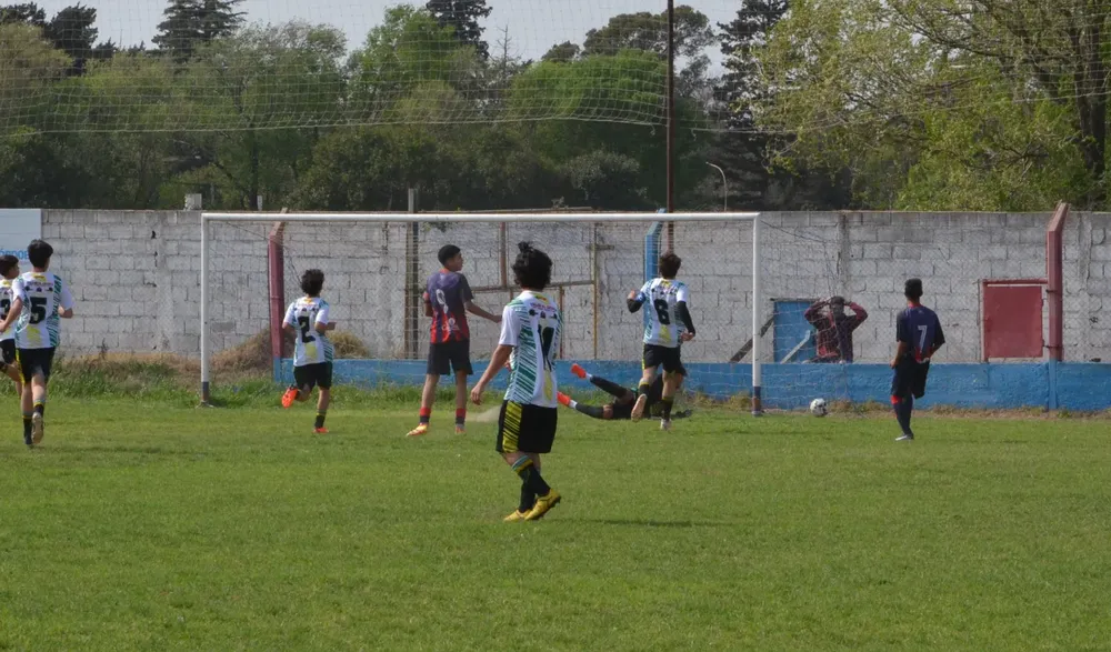 WhatsApp Image 2024-09-23 at 16.31.12 (5)