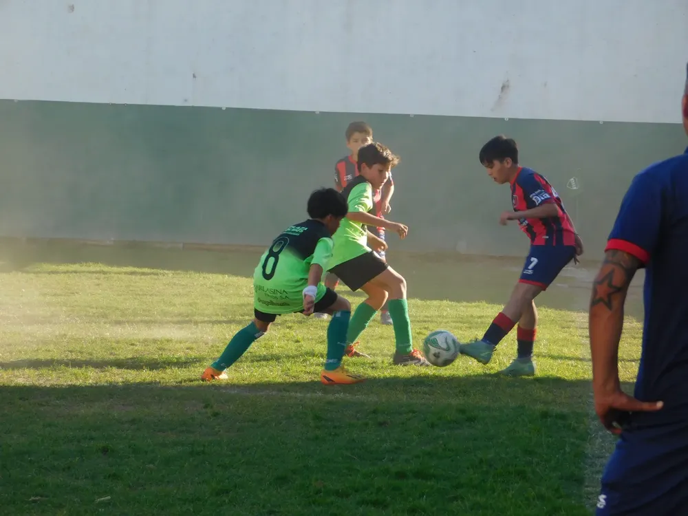 WhatsApp Image 2024-10-28 at 20.16.19 (12)