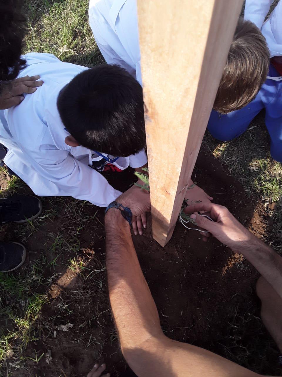 REPLANTEÁNDONOS LAS HIGUERAS (9)