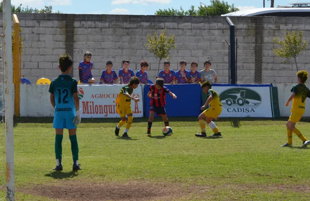 WhatsApp Image 2025-11-08 at 20.54.15