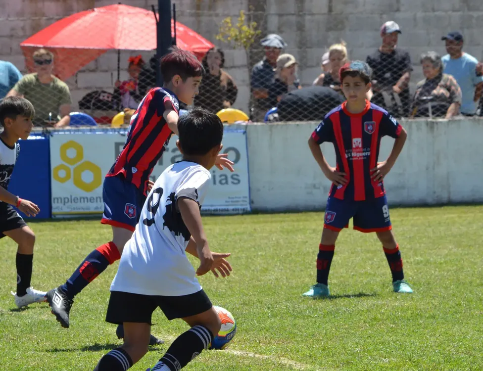 WhatsApp Image 2025-11-08 at 20.54.08