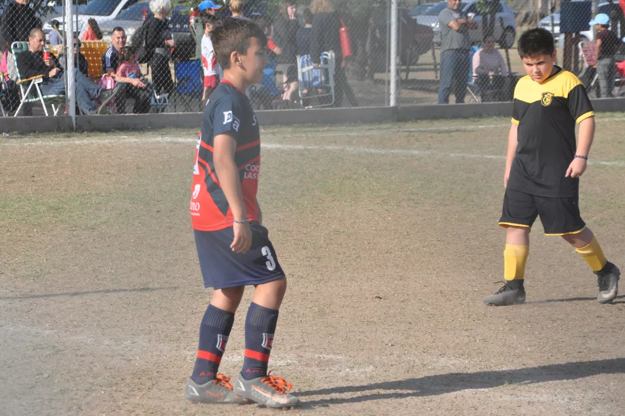 Centro Social Las Higueras Correos y Telecomunicaciones Deportivo Municipal Adela María (119)