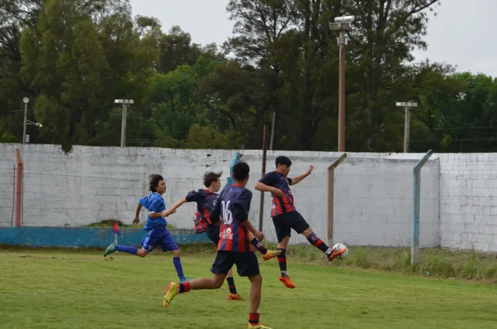 WhatsApp Image 2024-11-04 at 19.36.38 (5)