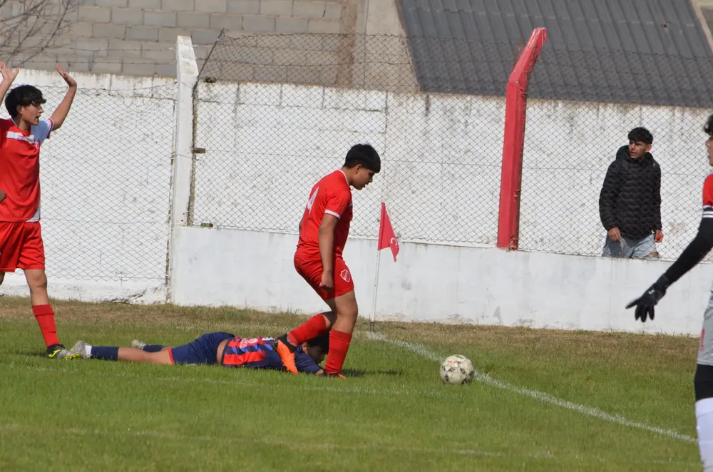 WhatsApp Image 2024-08-18 at 19.33.52 (2)