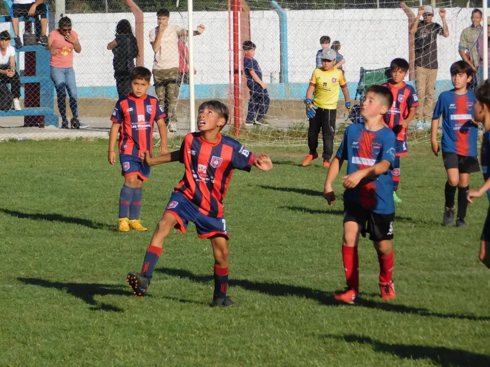 WhatsApp Image 2024-11-04 at 19.12.47 (18)