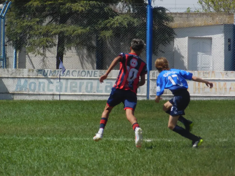 WhatsApp Image 2024-09-23 at 16.49.21 (12)