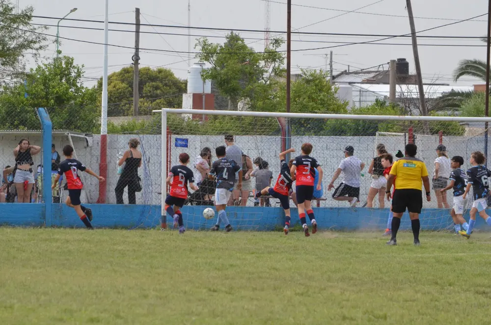 WhatsApp Image 2024-11-17 at 13.10.23 (13)