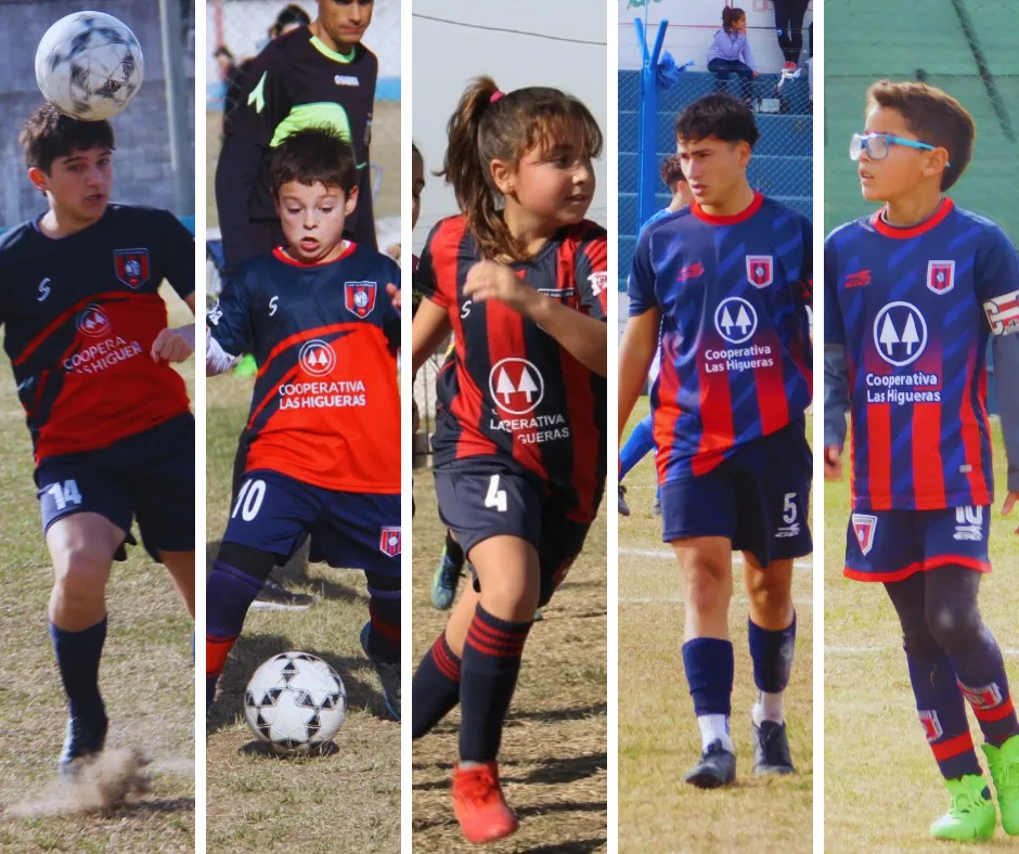 Copia de Diseño sin título