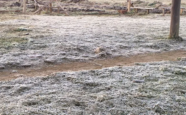 clima-pronostico-heladas-650x404-1