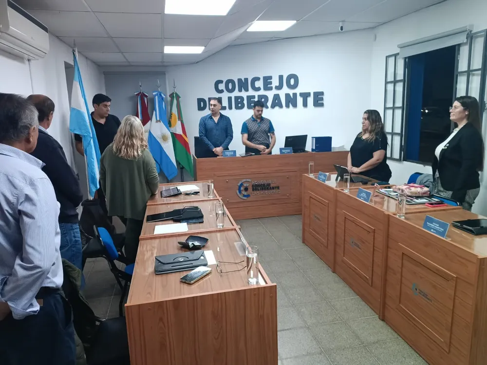 CONCEJO DELIBERANTE (6)
