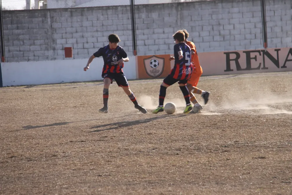 Centro Social Infanto Juvenil Renato Cesarini Olaeta Socialeritas (160)