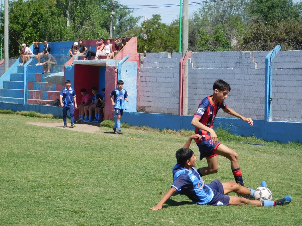 WhatsApp Image 2024-10-12 at 11.09.54 (3)