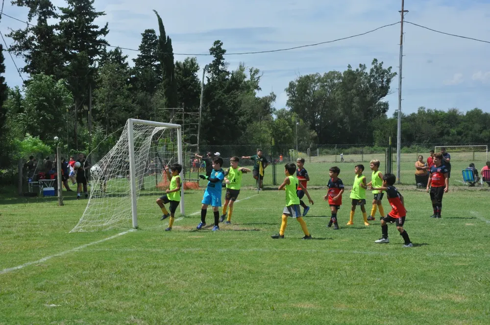 WhatsApp Image 2024-03-05 at 12.53.16 (15)