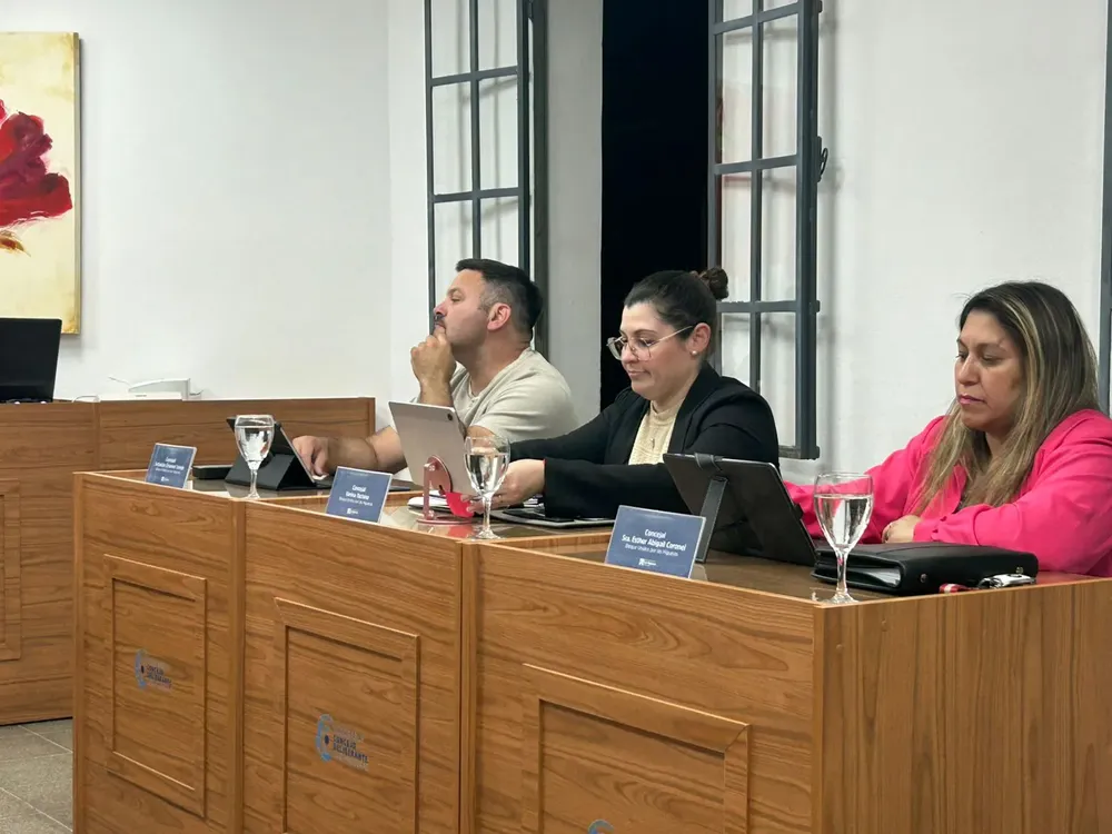 CEIJA APROBACIÓN ORDENANZA (2)