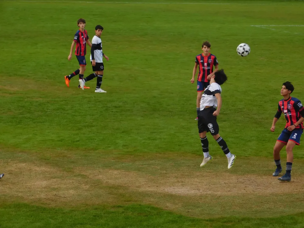 Centro Social Infanto Everton Banda Norte Socialeritas (108)