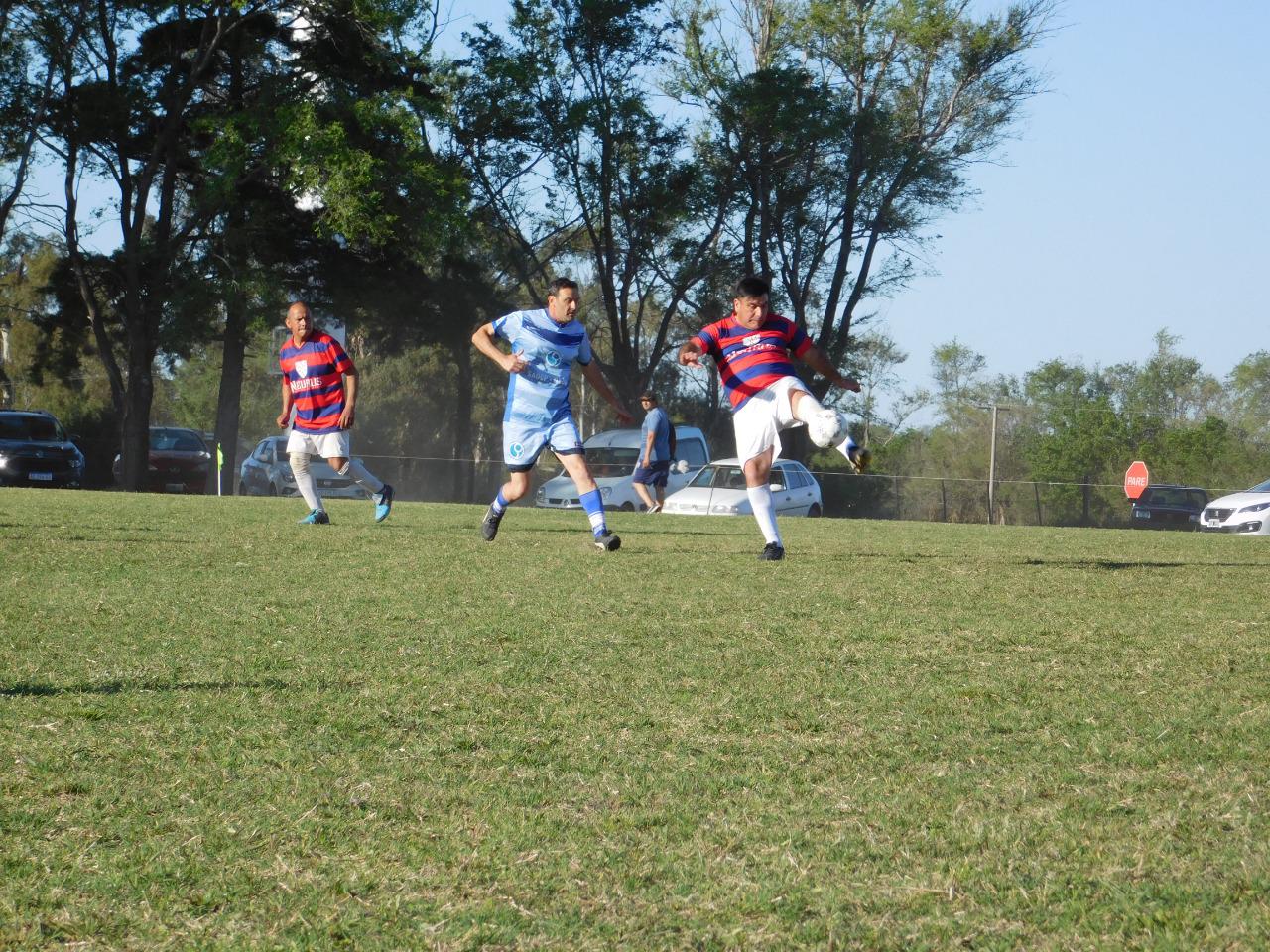 Profesionales Senior Campeones (10)