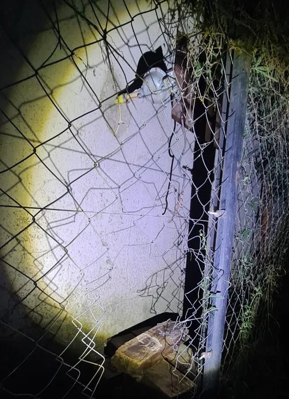 Imagen de WhatsApp 2025-05-19 a las 09.14.02_348a0cb4