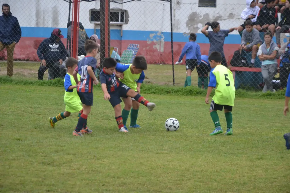 Centro Social B ACEFIC (29)