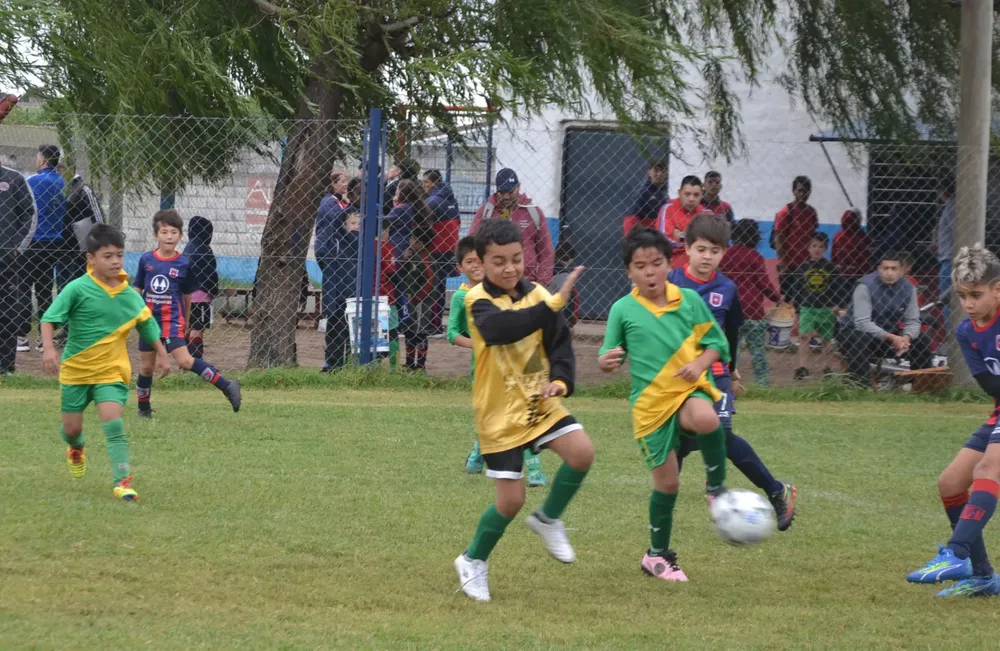 Centro Social B ACEFIC (44)