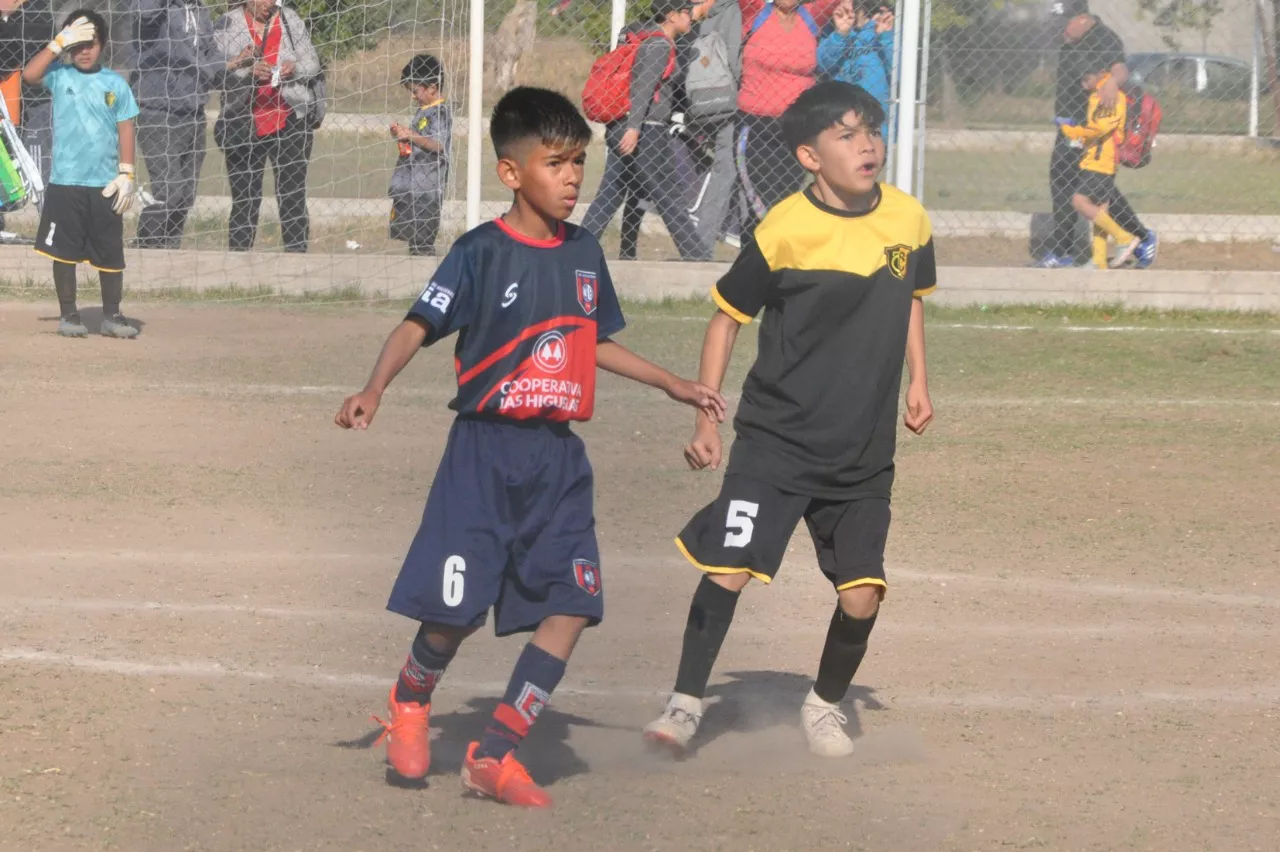 Centro Social Las Higueras Correos y Telecomunicaciones Deportivo Municipal Adela María (106)