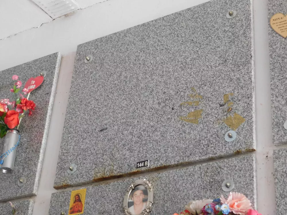 Cementerio Las Higueras (1)