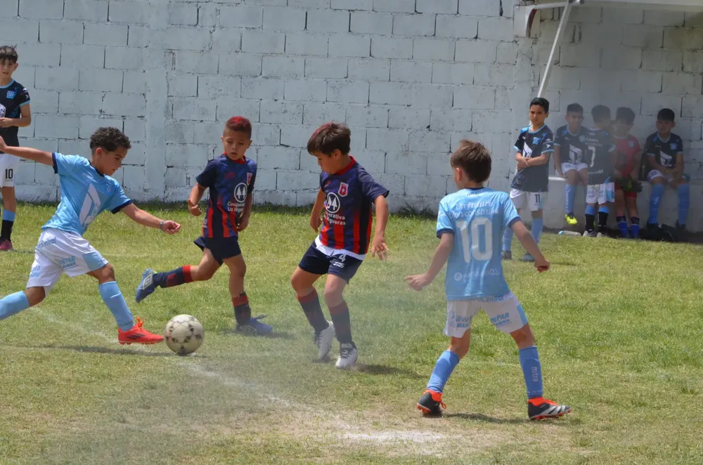 WhatsApp Image 2024-11-17 at 13.09.58 (3)