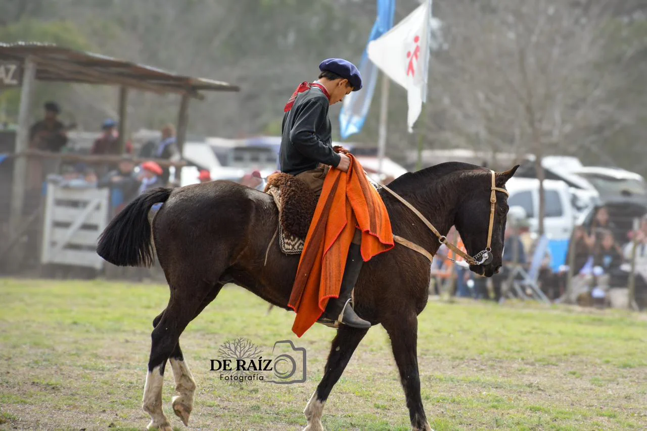 de raiz (3)