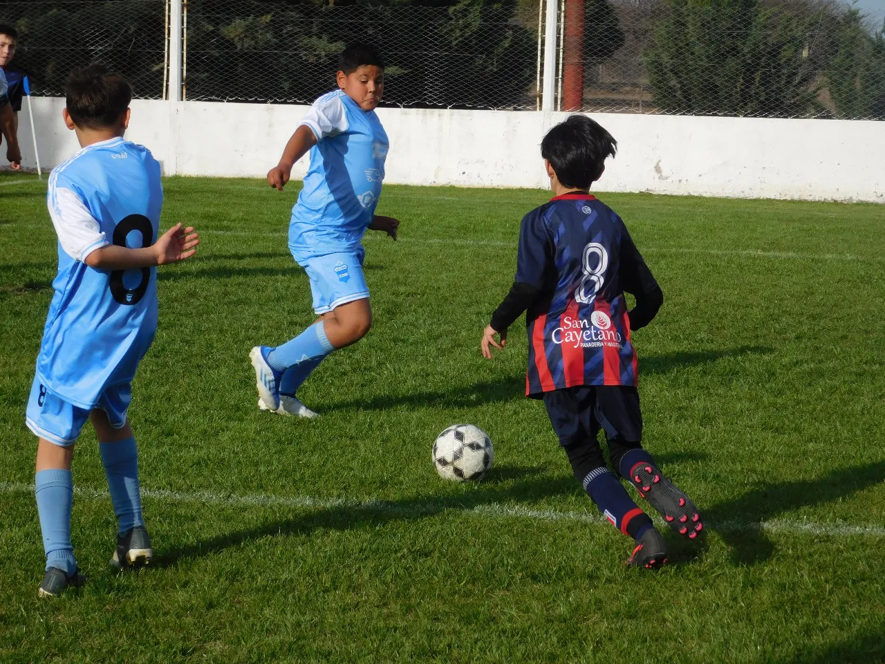 Centro Social Deportivo Municipal Acción Juvenil Socialeritas (5)