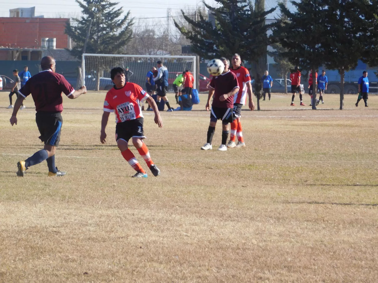 Liga Senior de Las Higueras (10)