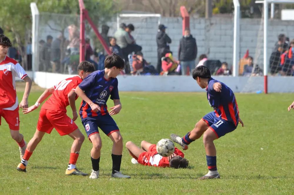 WhatsApp Image 2024-08-18 at 19.33.52 (3)