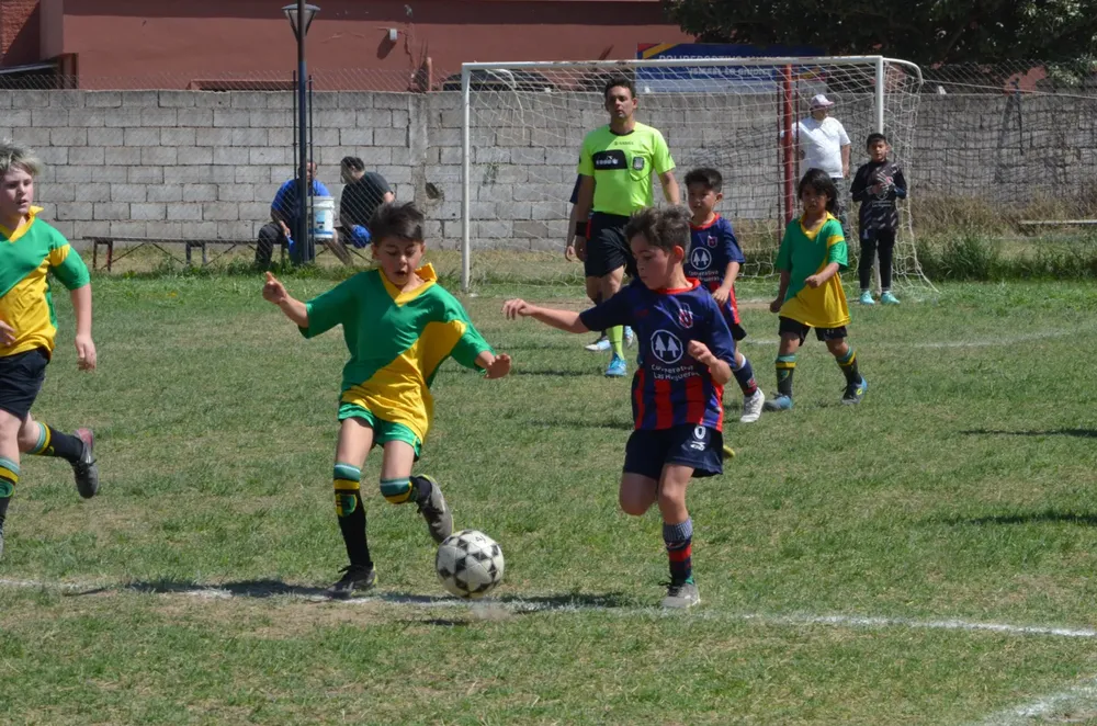 WhatsApp Image 2024-09-23 at 16.32.30 (7)