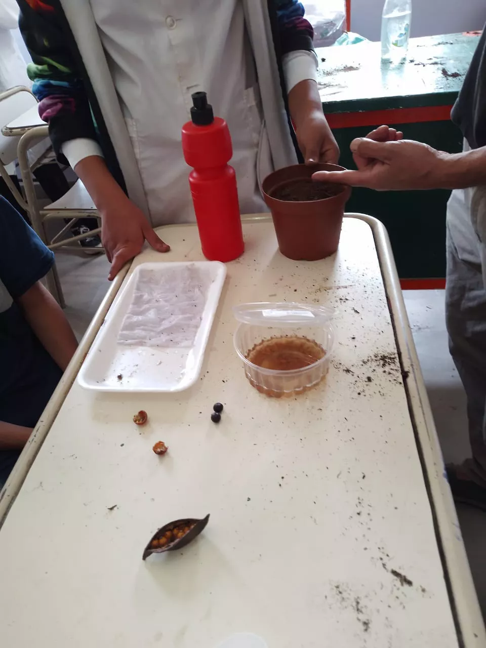 replanteandonos  (3)