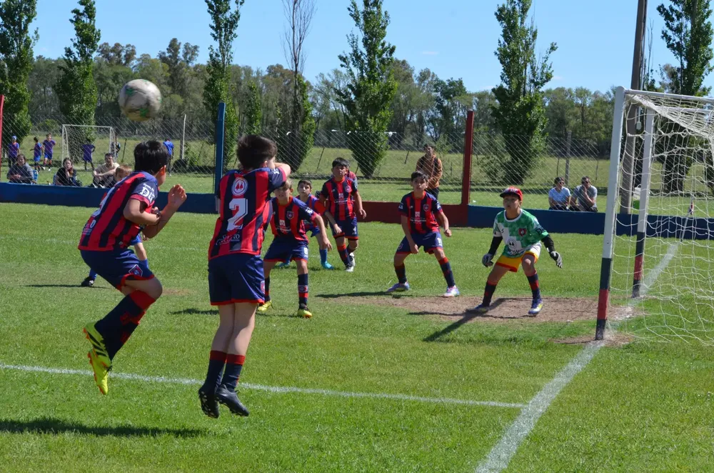 IMG-20251028-WA0096