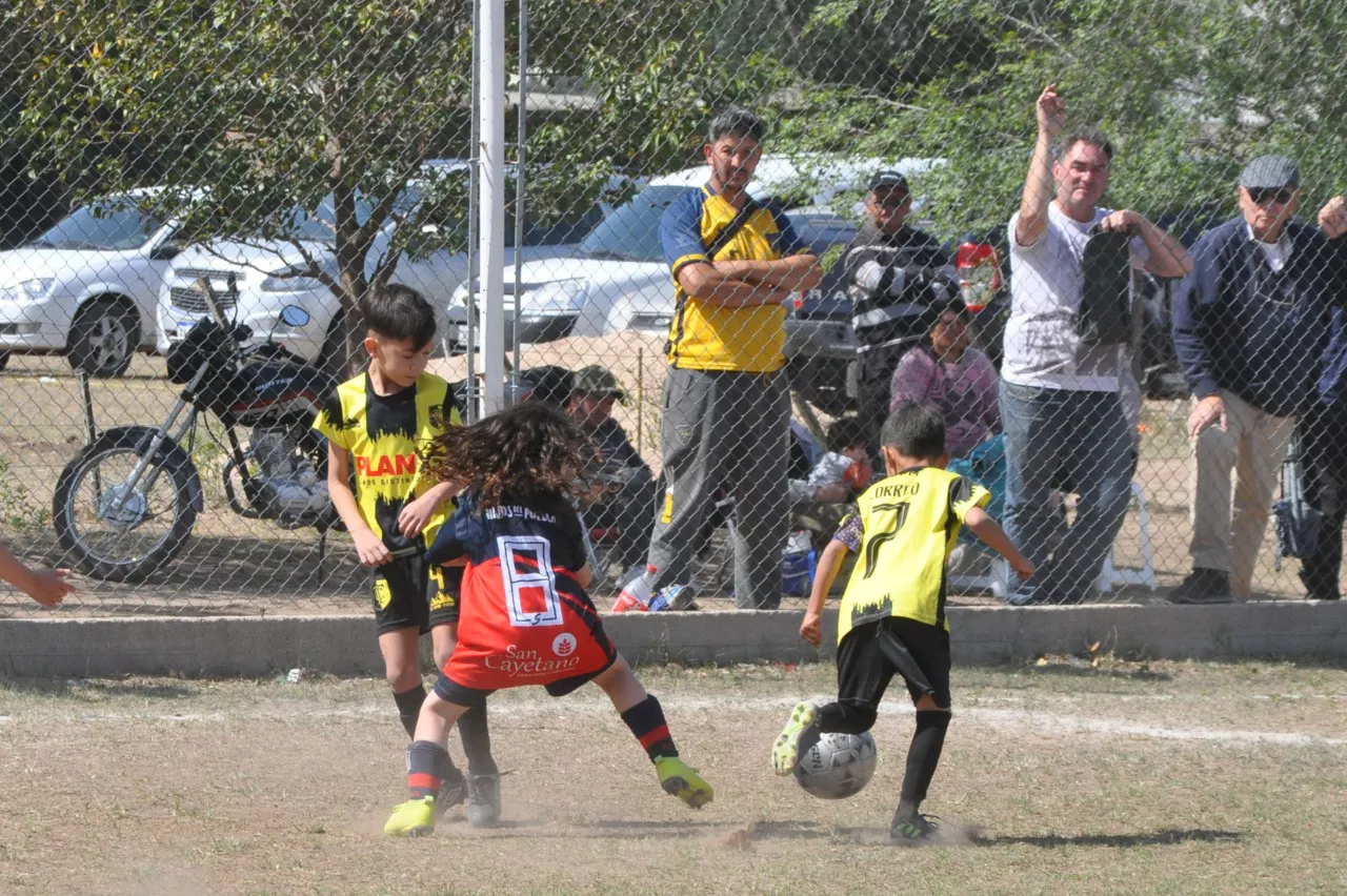 Centro Social Las Higueras Correos y Telecomunicaciones Deportivo Municipal Adela María (6)