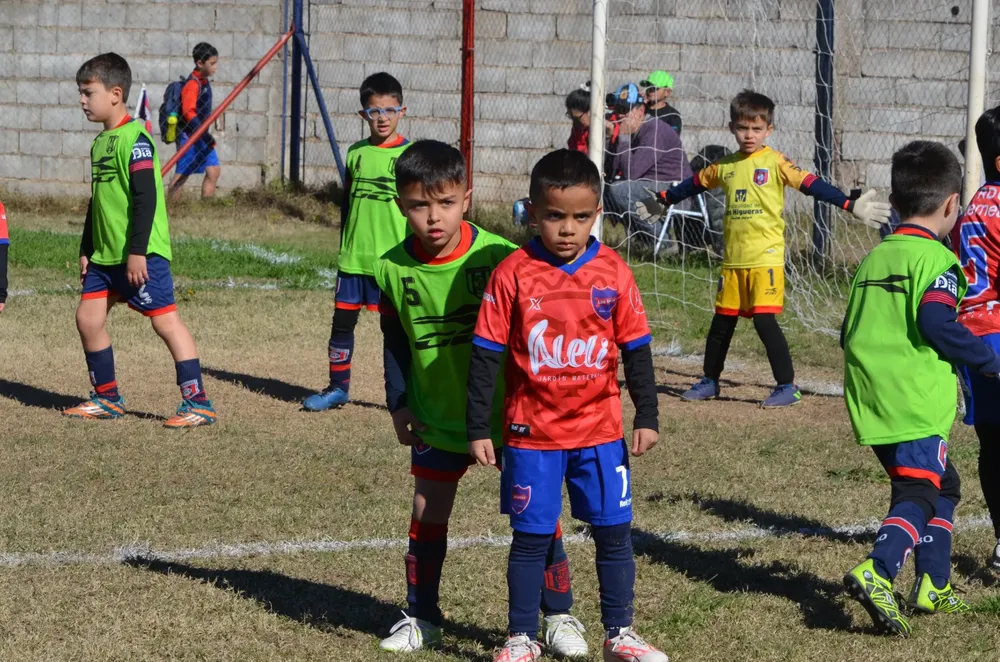 Centro Social San Lorenzo Bulnes Talleres Las Acequias Los Incas Achiras (99)
