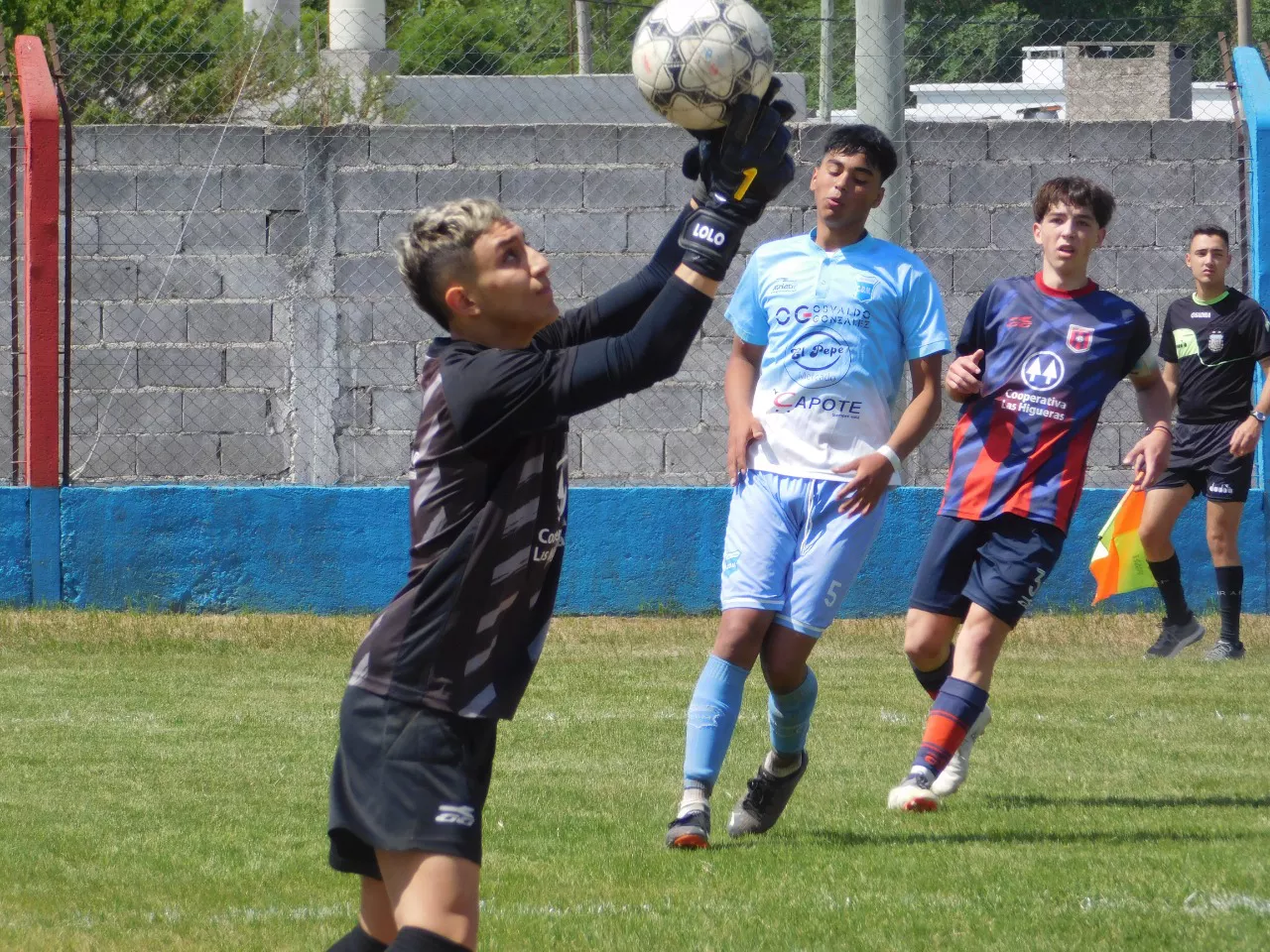 Centro Social Las Higueras Correos y Telecomunicaciones Deportivo Municipal Adela María (155)