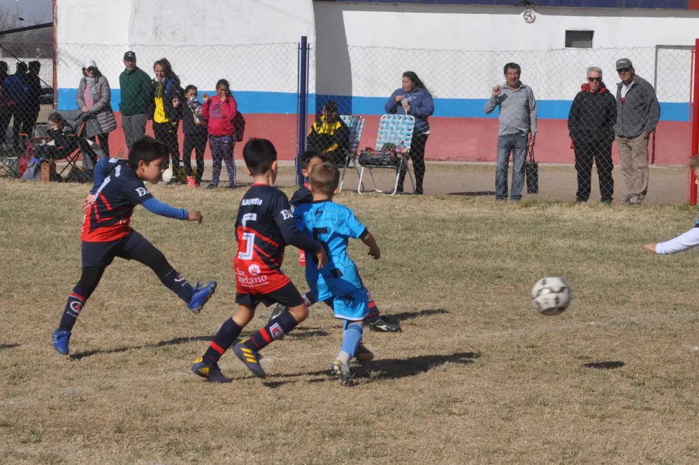 WhatsApp Image 2023-07-02 at 13.33.11 (7)