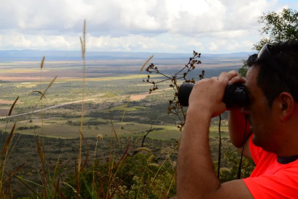 En-baja-calidad-1024x682