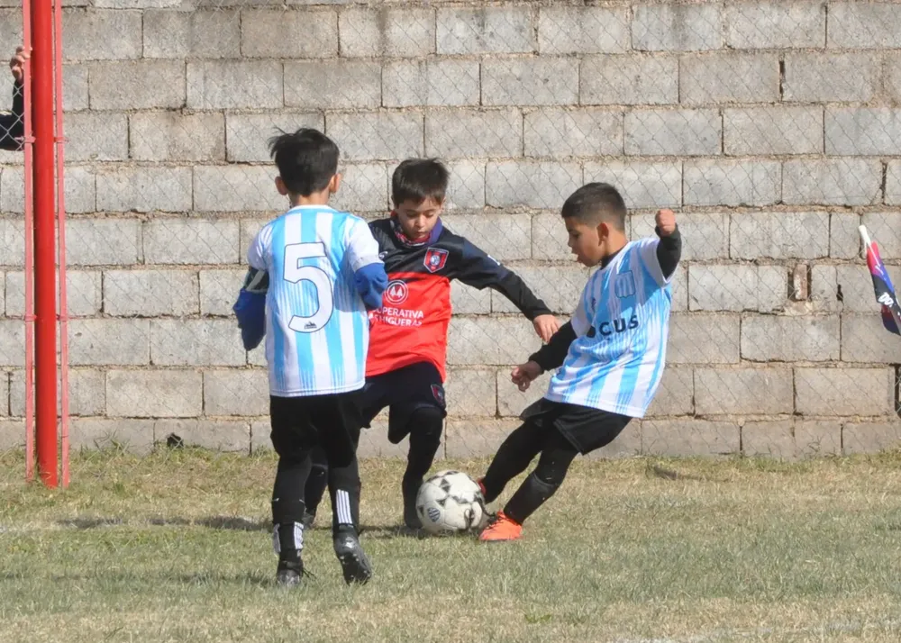 Centro Social Alberdi Everton (75)