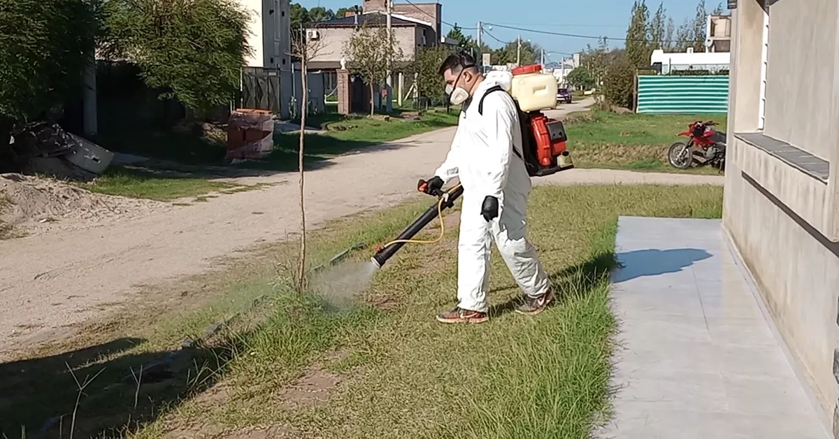 Fumigacion 004
