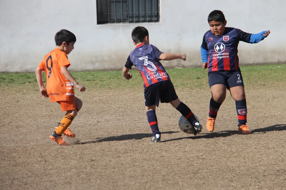 Centro Social Infanto Juvenil Renato Cesarini Olaeta Socialeritas (26)