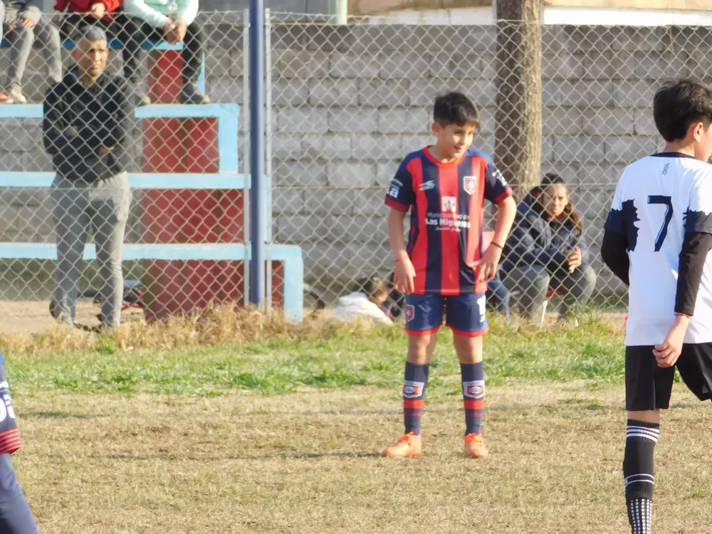 WhatsApp Image 2024-08-19 at 14.54.14