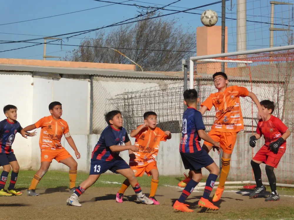 Centro Social Infanto Juvenil Renato Cesarini Olaeta Socialeritas (186)