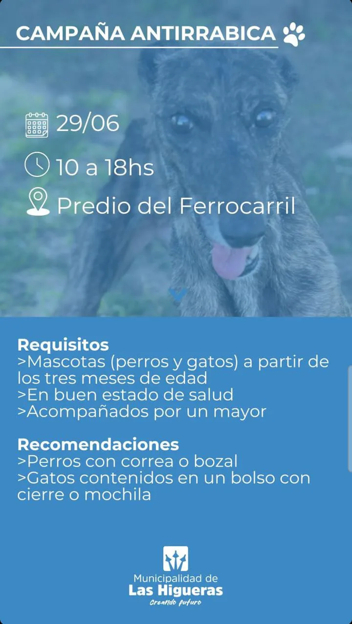 CAMPAÑA ANTIRRÁBICA