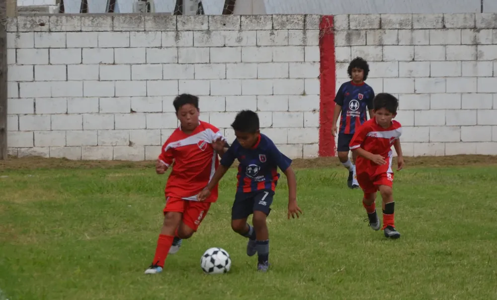Infanto Juveniles Fecha 1 2024 (207)