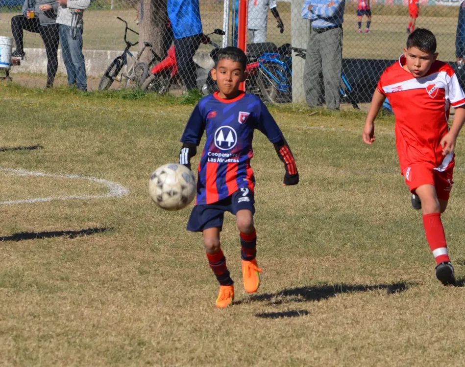 Centro Social Sp Municipal Confraternidad Infanto Juvenil (49)